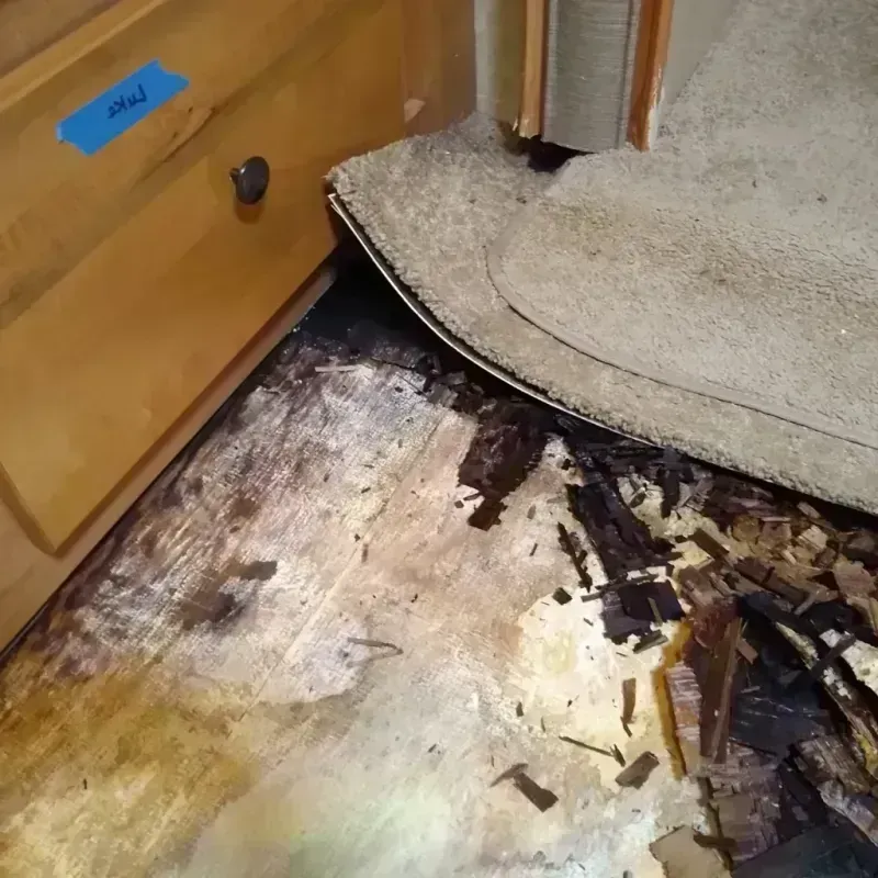 Best Wood Floor Water Damage Service in Conejos County, CO